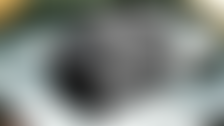 Elevate the Outdoors With EcoFlow Wave 2 Portable Air Conditioner and Heater