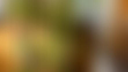 Urban Indoor Gardening Begins With Gardyn Home 4.0