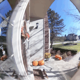 A video captured by the Arlo Essential of a curious, yet hungry, squirrel.
