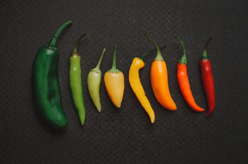 Various colored peppers aligned in a row, side by side.