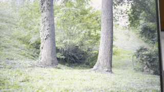 A video of a Coyote rider splitting a couple of trees
