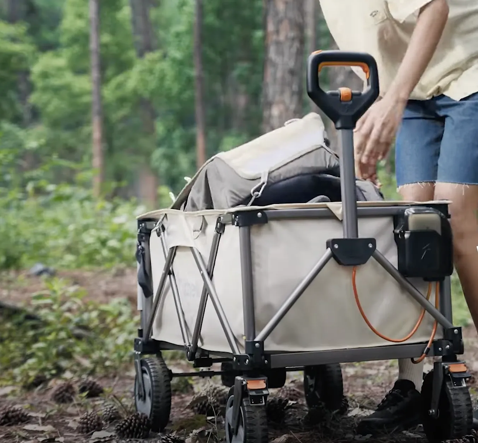 A closer look at a fully loaded Litheli W1 Pro electric wagon