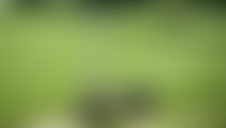 Punk Rider Pro Electric Scooter is the Ultimate Dual-Motor Ride