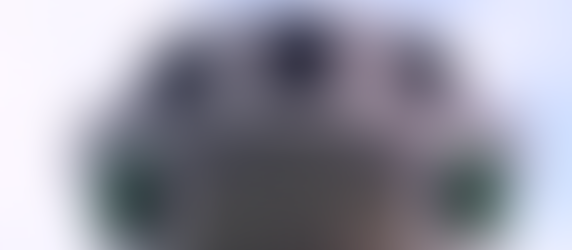 The BW Space Pro Zoom Underwater Drone- Exploration Made Easy