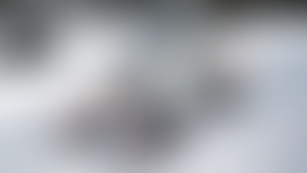 Reenergizing Snowmobiling: The Alfa All-Electric Snowmobile from Vidde