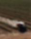 An overhead view of the Monarch tractor tending to the field.