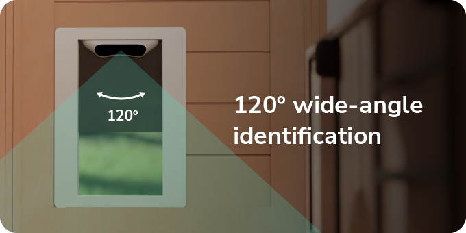 A view of the Petvation along with range of field showing the 120 degree viewing angle. 