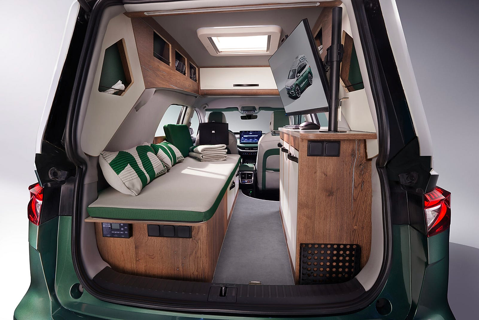 An interior view looking from the outside in of the Roadiaq concept vehicle.