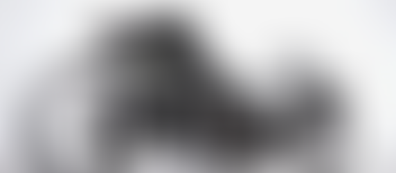 Coyote 4WD Electric ATV: Because the Outdoors is Made for Everyone!