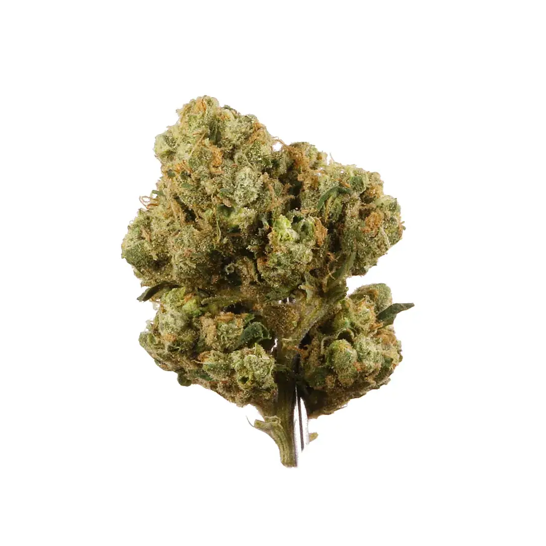 Diesel Gas