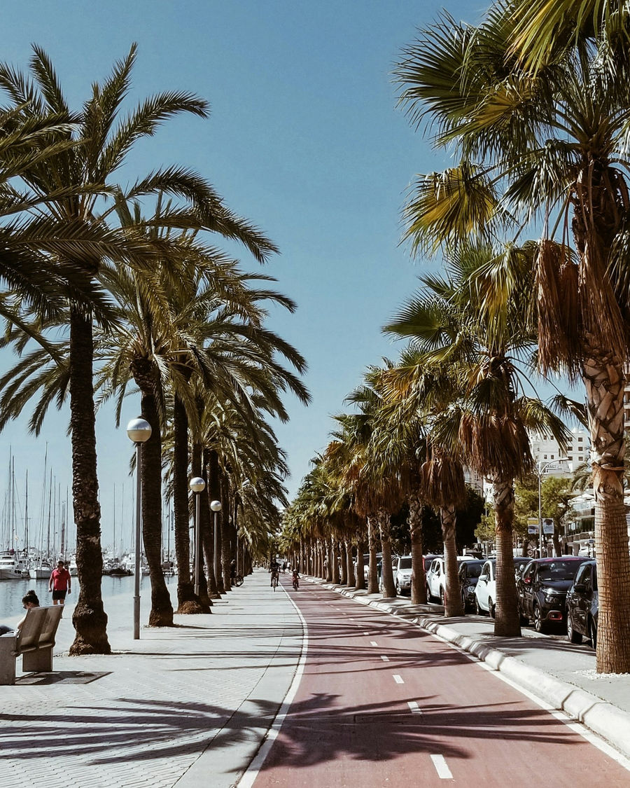 The Paseo, Santa Catalina