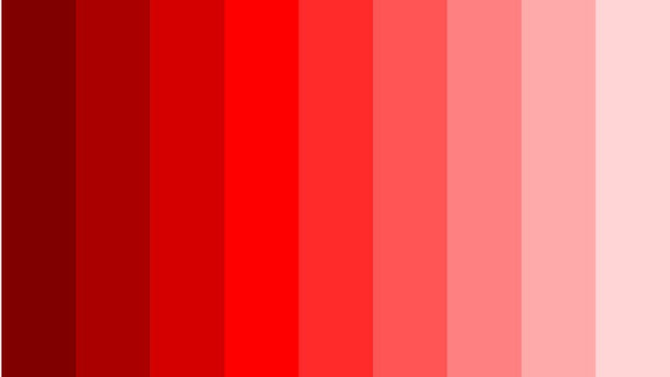 Differenza tra bianco e nero e foto monocromatiche