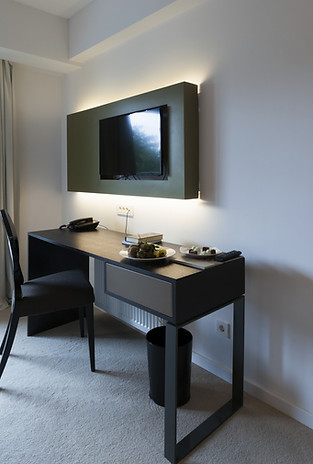 Modern Hotel Room