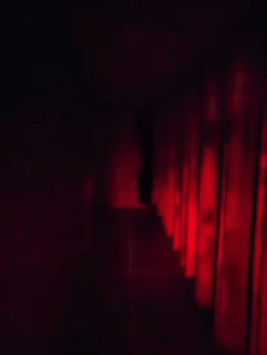 GIF of Trailer #1.gif