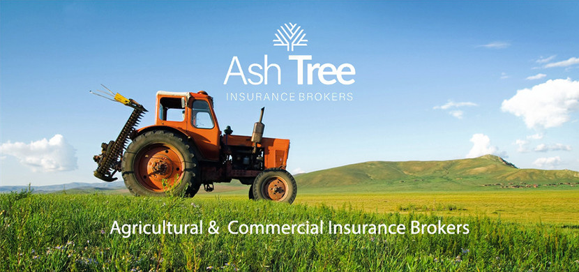 Tree Insurance Website Agriculture | Ash Tree Insurance Brokers