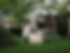 rustic-modern-5