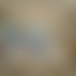 Palisades Wildfire Recovery Guide: Rebuilding with Monument Home Builders