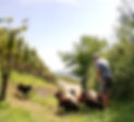 Umzug_Doettingen_1_small.jpg