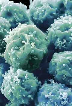 Pathogen