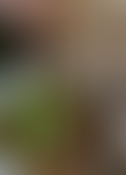 ベトナムフエの食事