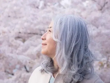 12月21日(木)デンマーク・ニールセン北村朋子さん講演会開催【終了しました】