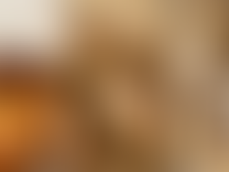 今井ようこレモンスイーツ