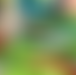 ベトナムフエ屋台と市場