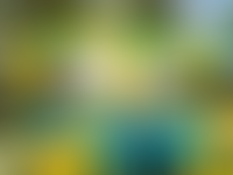 Ultimate Party Rental Guide in Oshawa, Ontario