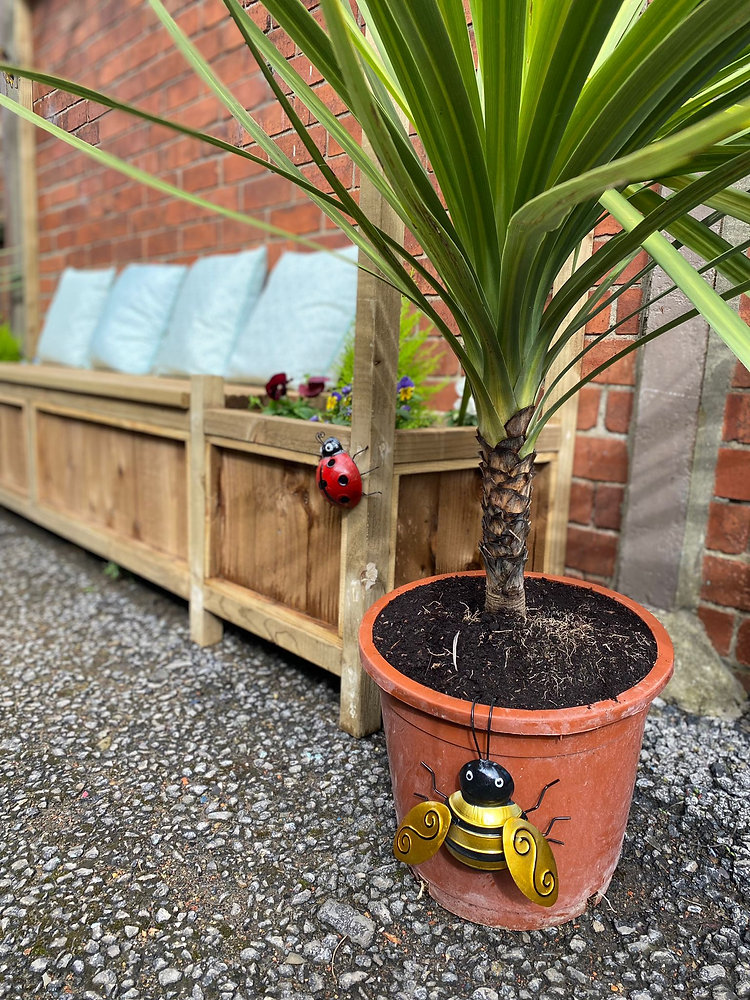 Our sensory garden is complete