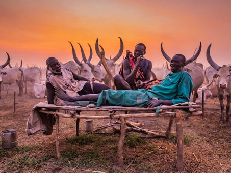 THE MUNDARI: IT’S COW OR NOTHING