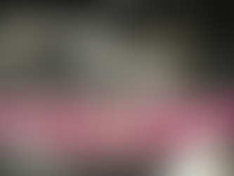 Nettoyage Complet d'une auto au printemps