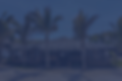 PALMA-MAR-1.png