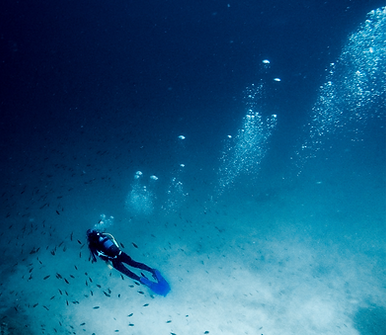 SCUBA%20Certification%20in%20South%20Eas