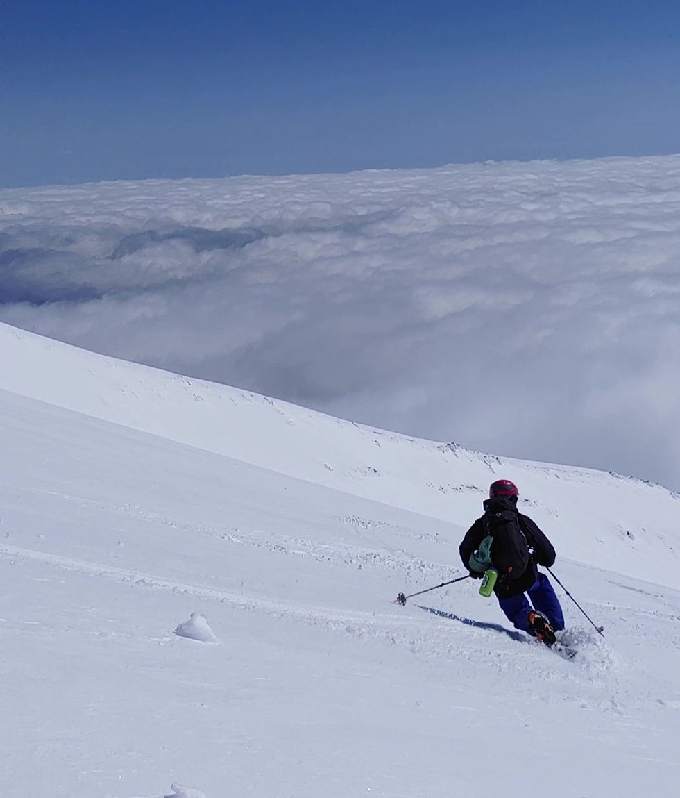 Telemark's Dead, Right? Not So Fast. Meet NTN Tech.