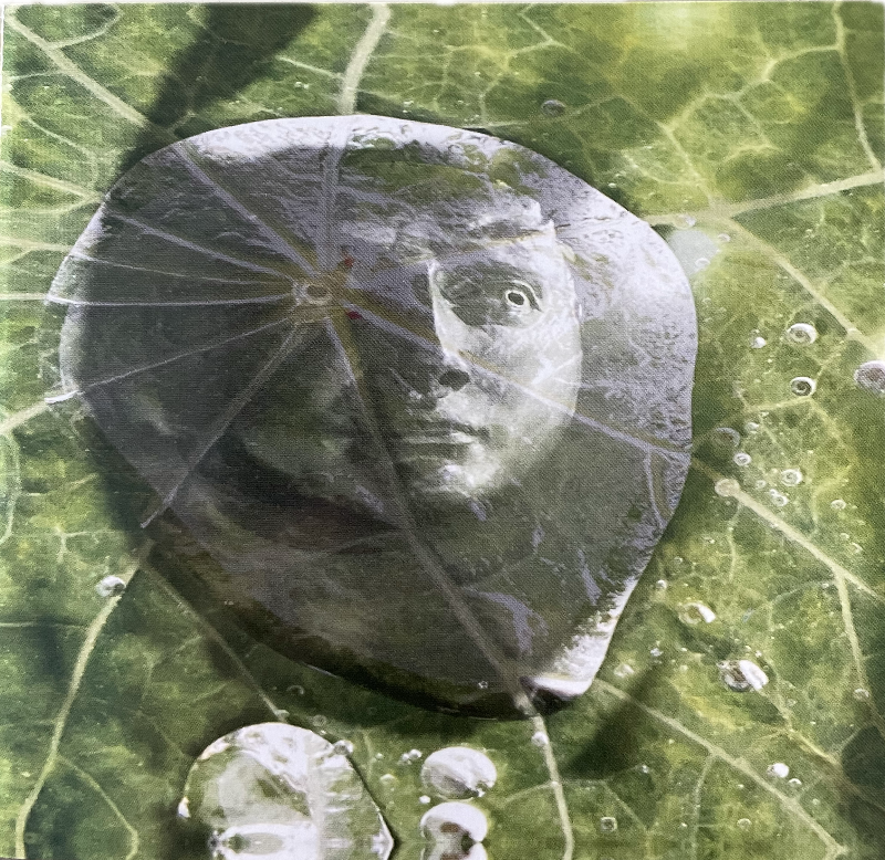Thumbnail: Land of the Lotus Eaters CD