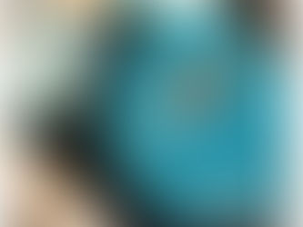 魅惑の猫ルーム