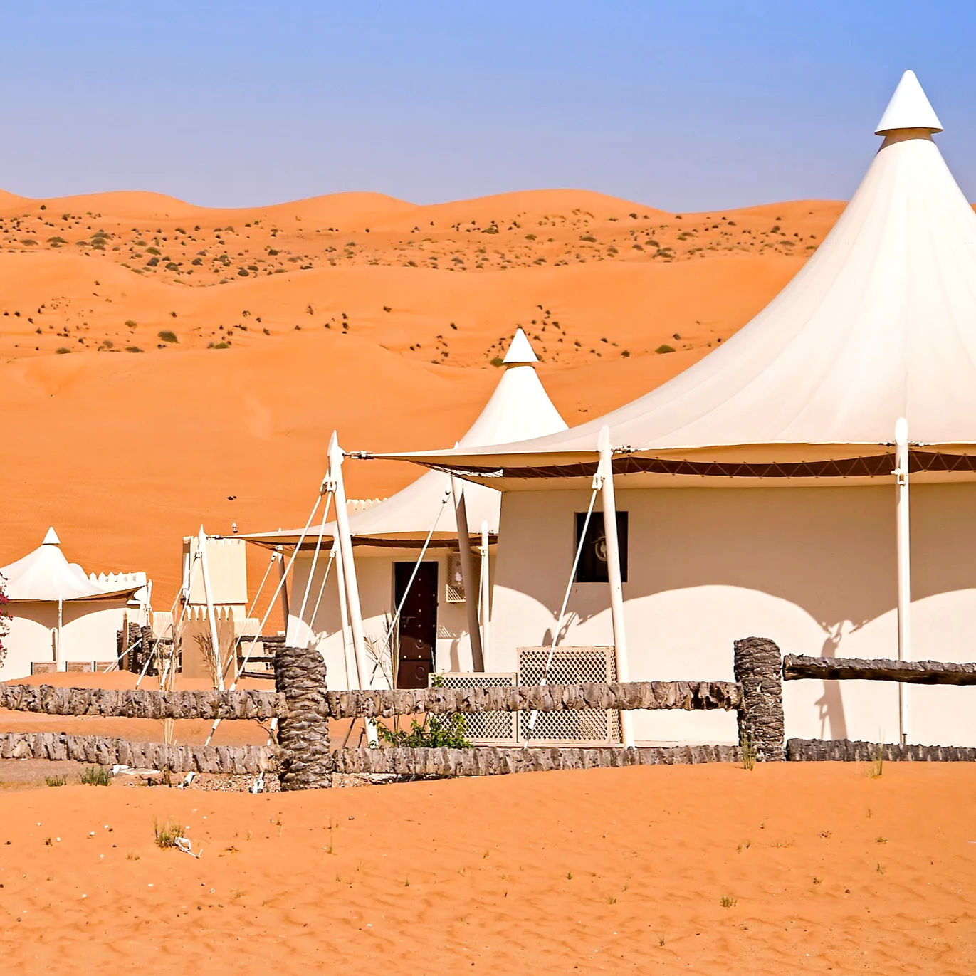 Arabian Oryx Camp