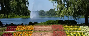 cover.B0bwM3Wo_ZGEtH2.webp
