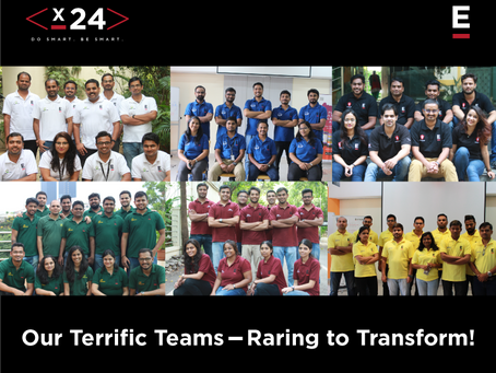 Teams and their mentors