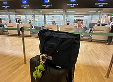 IMG_2259.jpeg