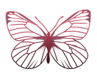 Mariposa completa_edited.png