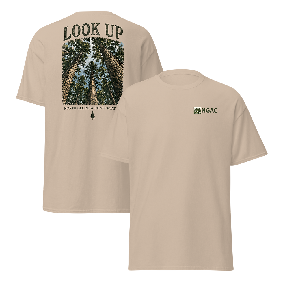 Thumbnail: Look Up