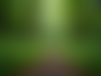 Engaging Youth in Conservation Efforts in North Georgia