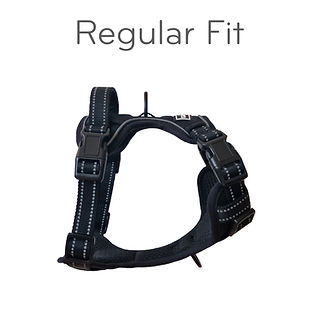 Perfect_Fit_Regular.jpeg