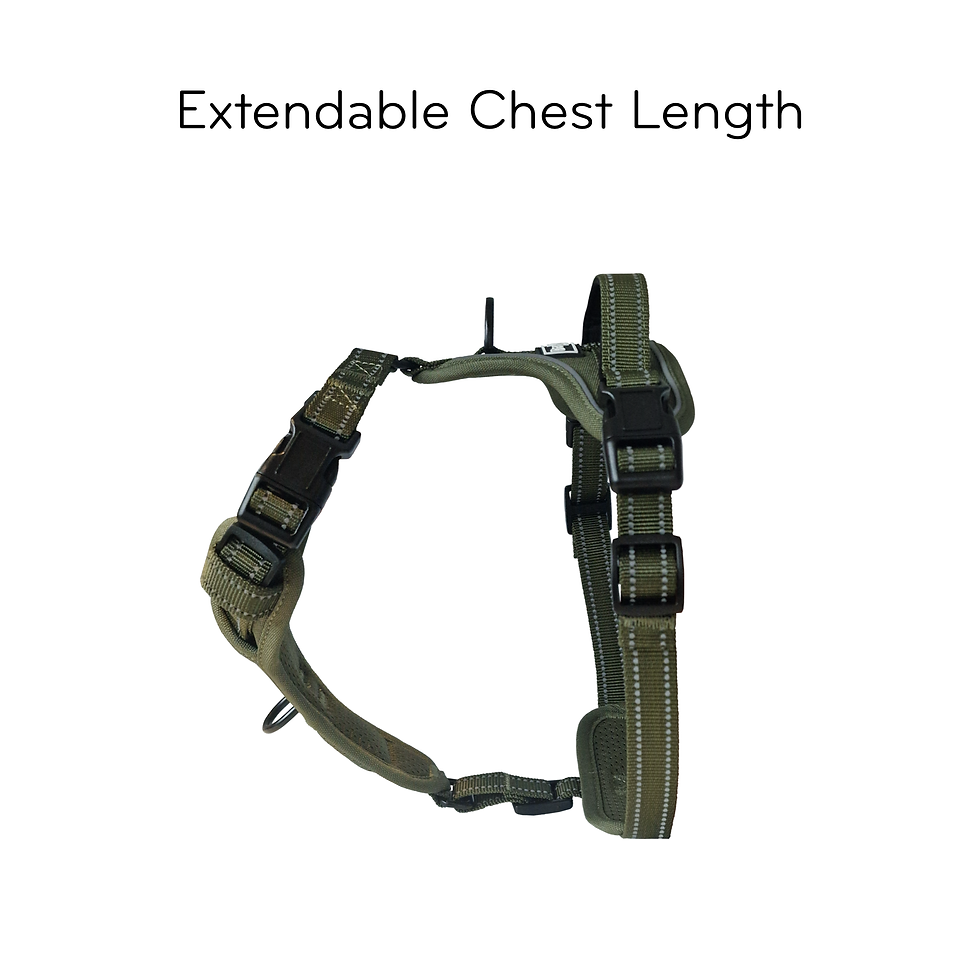 TruFit-Freedom-Website-Main-Page.005