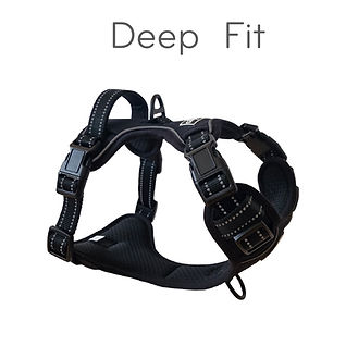 Perfect_Fit_Deep_Angle.jpeg