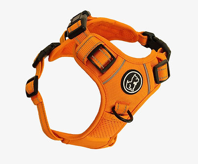 TruFit_Comfort_Orange_Front.jpeg