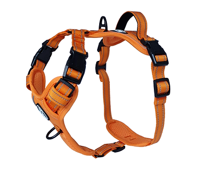 TruFit-Freedom-Papaya-Orange-Main.png