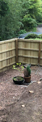 backyard wooden fence