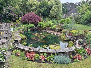 simple pond surrounded by grass and flowers